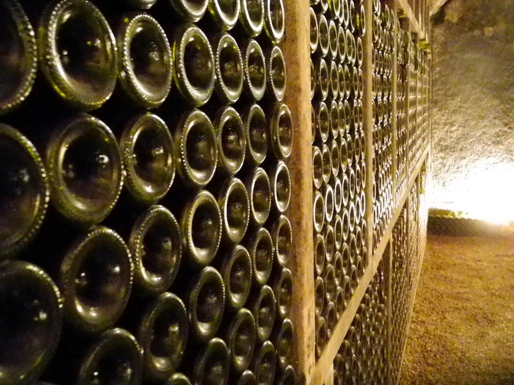 Chateau Du Petit Musigny A Chambolle Dış mekan fotoğraf