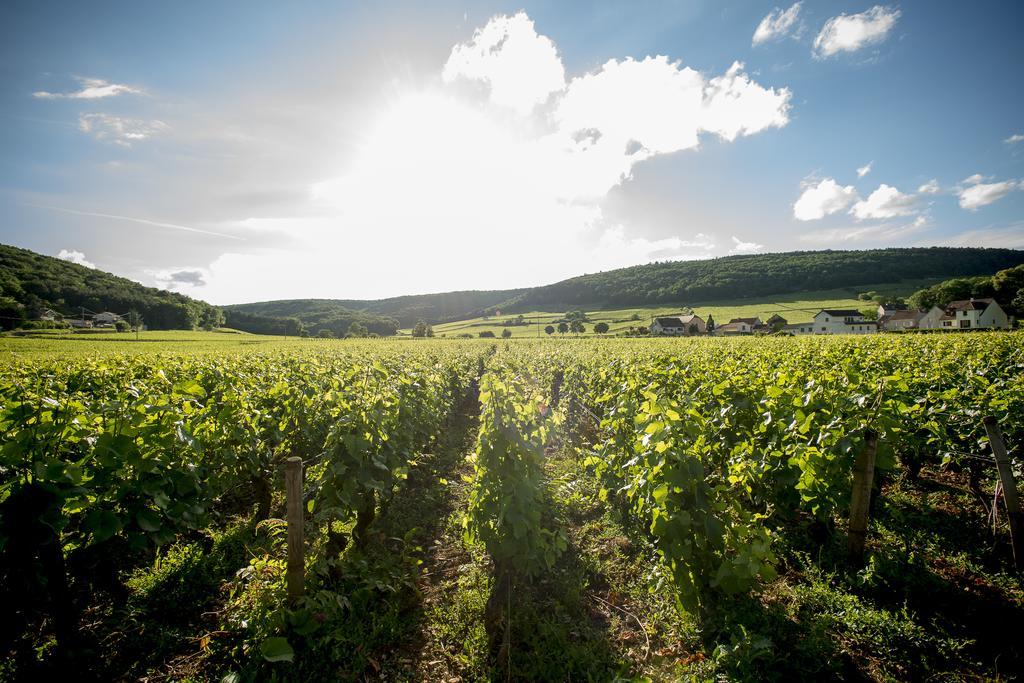 Chateau Du Petit Musigny A Chambolle Dış mekan fotoğraf