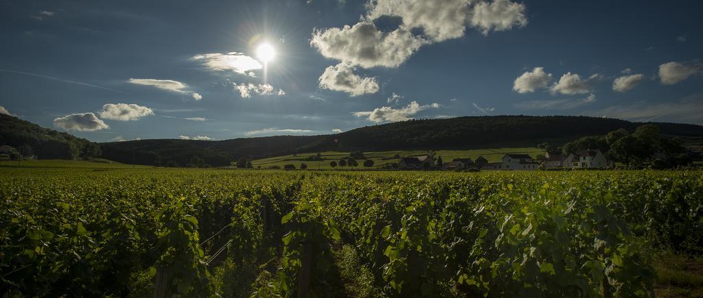 Chateau Du Petit Musigny A Chambolle Dış mekan fotoğraf